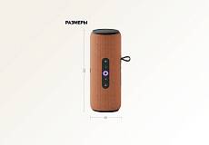 Умная портативная колонка Яндекс.Станция Стрит с Алисой (Оранжевая)