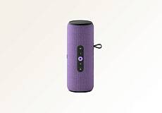 Умная портативная колонка Яндекс.Станция Стрит с Алисой (Фиолетовая)