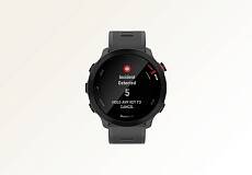 Умные часы Garmin FORERUNNER 55 42mm (Monterra Grey)