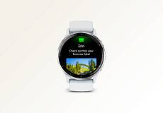 Умные часы Garmin VENU 3 45mm (Silver Whitestone)