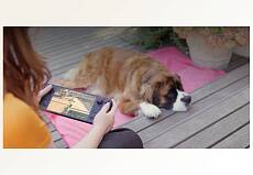 Игровая приставка Valve Steam Deck OLED 1Tb (Черная)