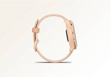 Умные часы Garmin VIVOACTIVE 6 42mm (Pink Dawn)