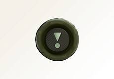 Портативная акустика JBL Flip 7 (Камуфляж)