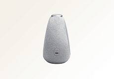 Портативная акустика JBL Horizon 3 (Серая)