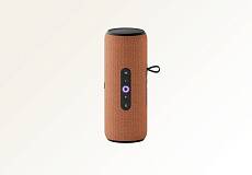 Умная портативная колонка Яндекс.Станция Стрит с Алисой (Оранжевая)