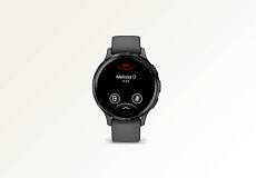 Умные часы Garmin VENU 3s 41mm Slate (Pebble/Gray)