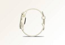 Умные часы Garmin VIVOACTIVE 6 42mm (Lunar Gold)