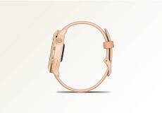 Умные часы Garmin VIVOACTIVE 6 42mm (Pink Dawn)